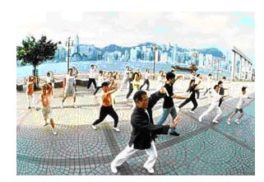 Advanced Tai Chi Class @ Victory Martial Arts, Palm Harbor, Florida | Palm Harbor | Florida | United States